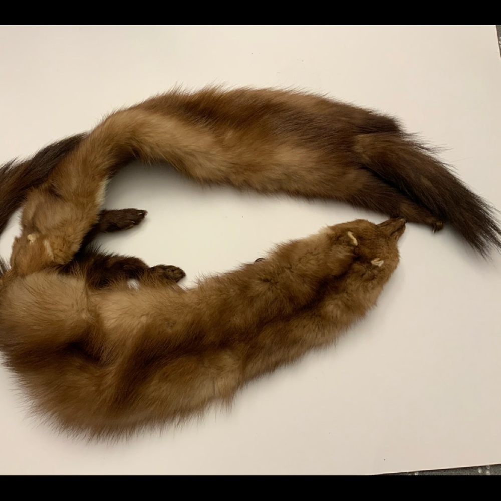 Mink fur stole scraf - Picture 3 of 4